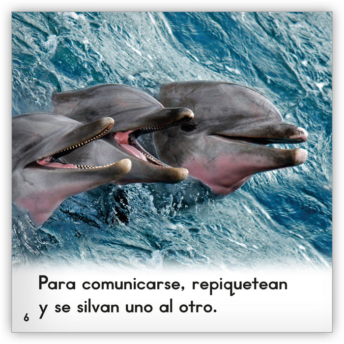 El delfín from Zoozoo Mundo Animal