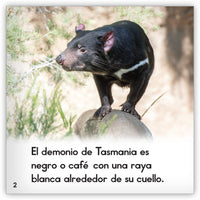 El demonio de Tasmania