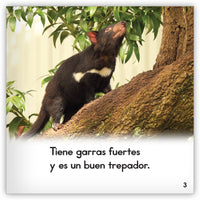 El demonio de Tasmania