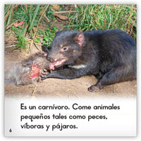 El demonio de Tasmania