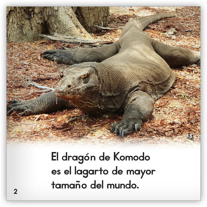 El dragón de Komodo