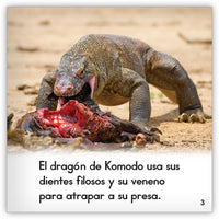 El dragón de Komodo
