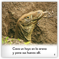 El dragón de Komodo