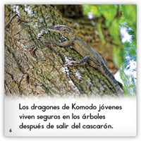 El dragón de Komodo