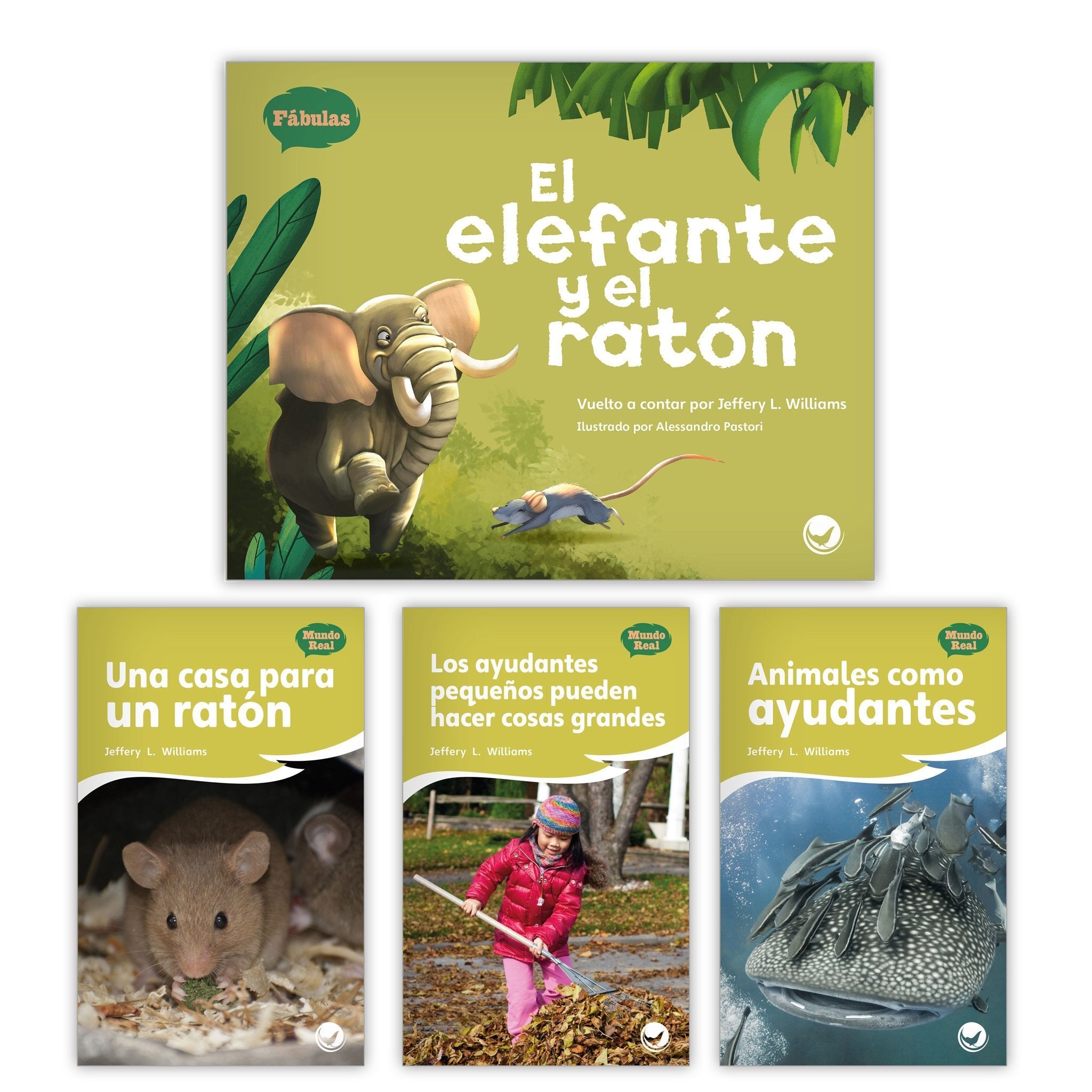 El Elefante Y El Raton Theme Set Image Book Set