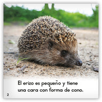 El erizo from Zoozoo Mundo Animal