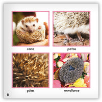 El erizo from Zoozoo Mundo Animal