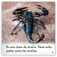 El escorpión from Zoozoo Mundo Animal