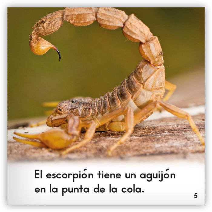 El escorpión from Zoozoo Mundo Animal