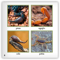 El escorpión from Zoozoo Mundo Animal