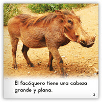 El facóquero from Zoozoo Mundo Animal