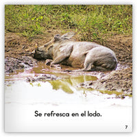 El facóquero from Zoozoo Mundo Animal