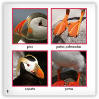 El frailecillo from Zoozoo Mundo Animal