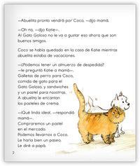 El gato Goloso en el mercado