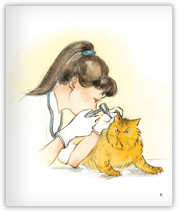 El gato Goloso y el veterinario