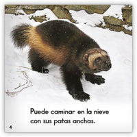 El glotón from Zoozoo Mundo Animal