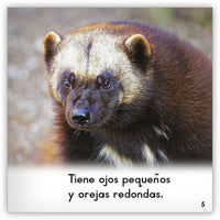 El glotón from Zoozoo Mundo Animal