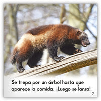 El glotón from Zoozoo Mundo Animal