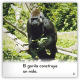 El gorila from Zoozoo Mundo Animal