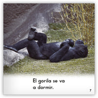 El gorila from Zoozoo Mundo Animal