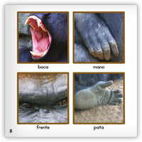 El gorila from Zoozoo Mundo Animal