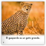 El guepardo from Zoozoo Mundo Animal