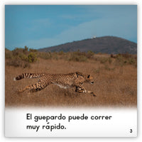 El guepardo from Zoozoo Mundo Animal