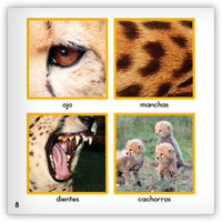 El guepardo from Zoozoo Mundo Animal