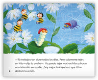 El gusano de seda y la araña from Fábulas y el Mundo Real