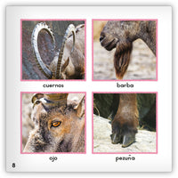 El íbice from Zoozoo Mundo Animal