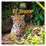 El jaguar from Zoozoo Mundo Animal
