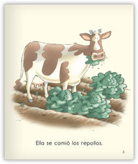 El jardín Lávalo Todo