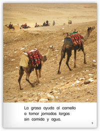 El jorobado tiene dos jorobas