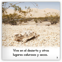 El lagarto cornudo from Zoozoo Mundo Animal