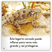 El lagarto cornudo from Zoozoo Mundo Animal