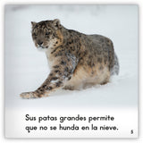 El leopardo de nieve from Zoozoo Mundo Animal