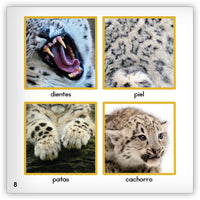 El leopardo de nieve from Zoozoo Mundo Animal