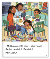 El libro perdido