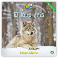 El lobo gris from Zoozoo Mundo Animal