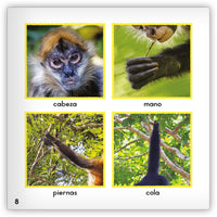 El mono araña from Zoozoo Mundo Animal