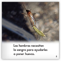 El mosquito