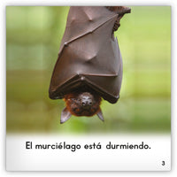 El murciélago Leveled Book