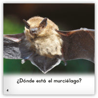 El murciélago from Zoozoo Mundo Animal