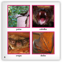 El murciélago Leveled Book