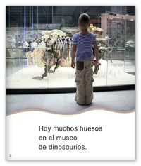 El museo de dinosaurios