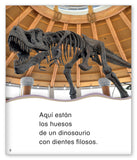 El museo de dinosaurios