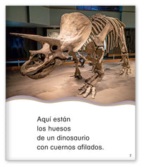 El museo de dinosaurios
