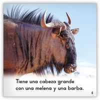 El ñu from Zoozoo Mundo Animal