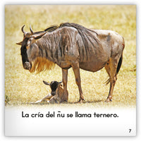 El ñu from Zoozoo Mundo Animal