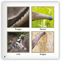 El oso hormiguero from Zoozoo Mundo Animal